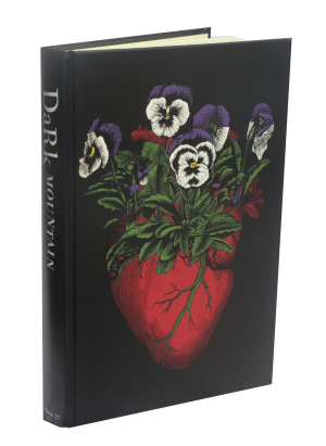 Dark Mountain: Issue 27