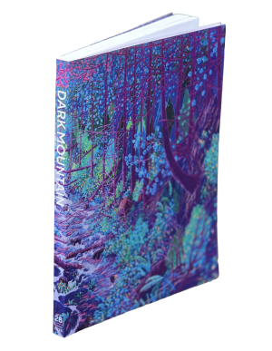 Dark Mountain: Issue 28